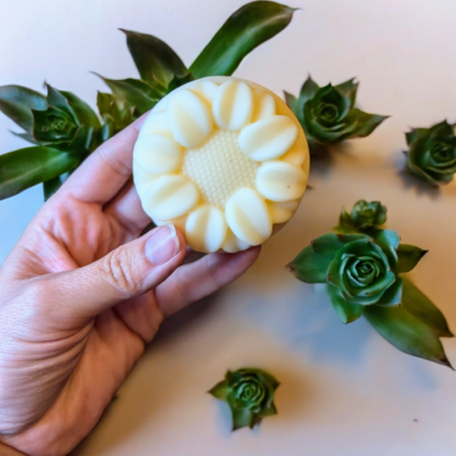 Body Lotion Bar - Image 3