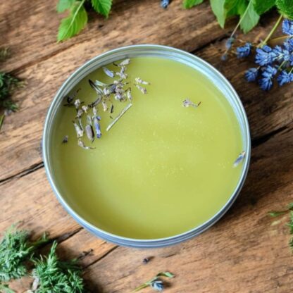 Lemon Balm Salve - Image 2